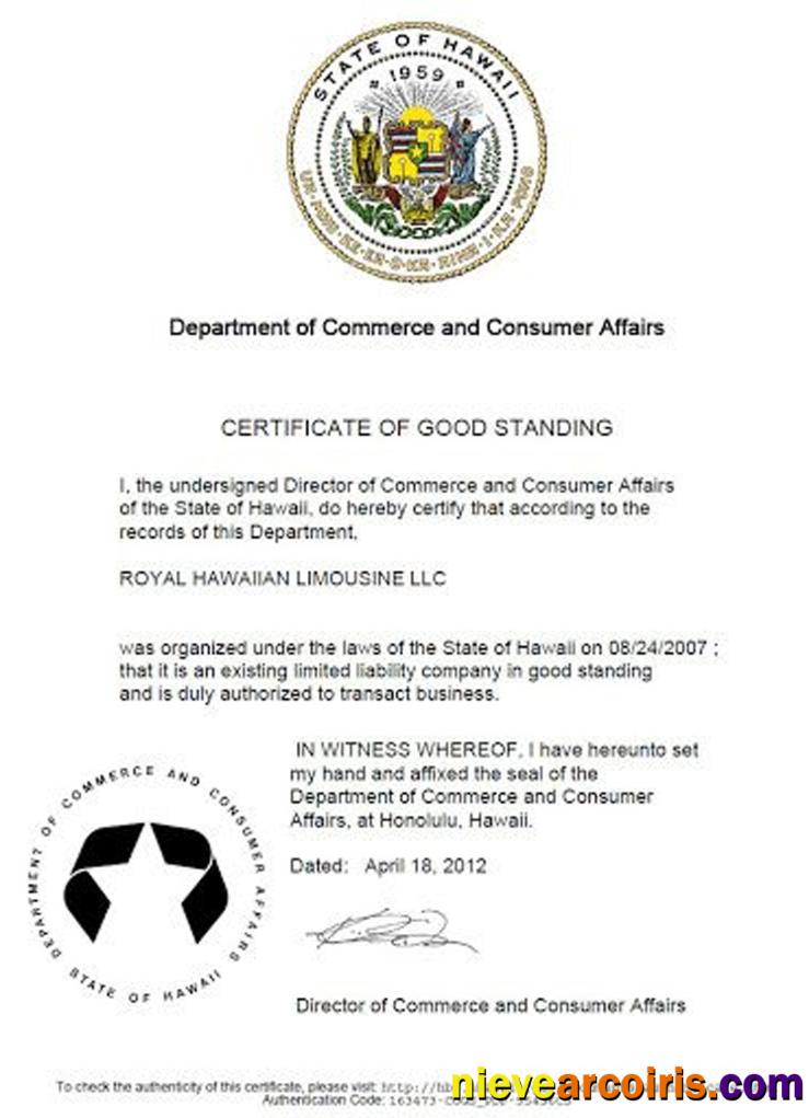USA Hawaii certificate of good standing